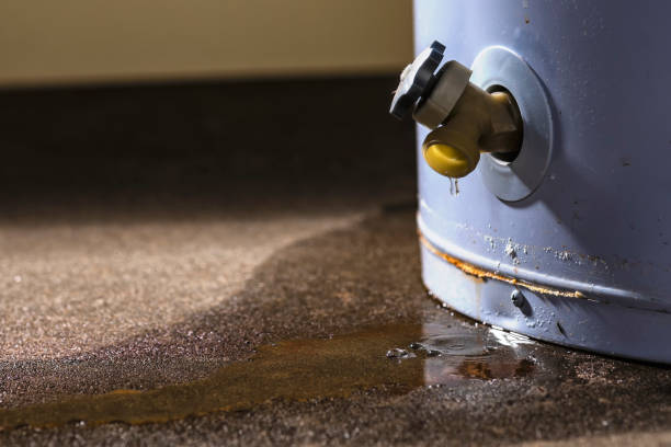 Best Water damage cleanup near me  in Ellport, PA