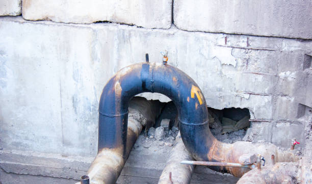 Best Water damage cleanup near me  in Ellport, PA